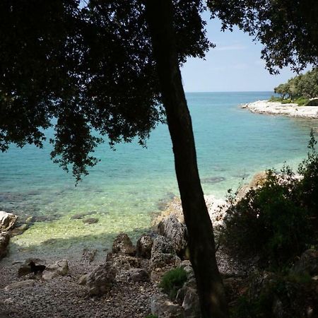 Guesthouse Galeb Vrsar Bagian luar foto