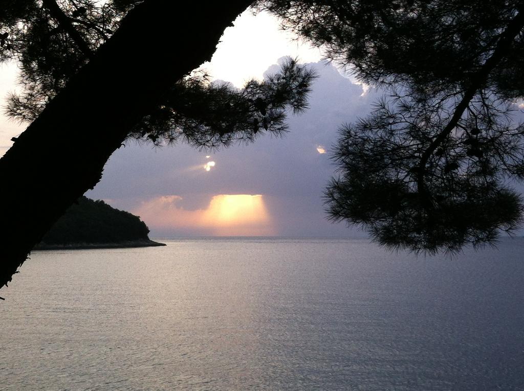 Guesthouse Galeb Vrsar Bagian luar foto