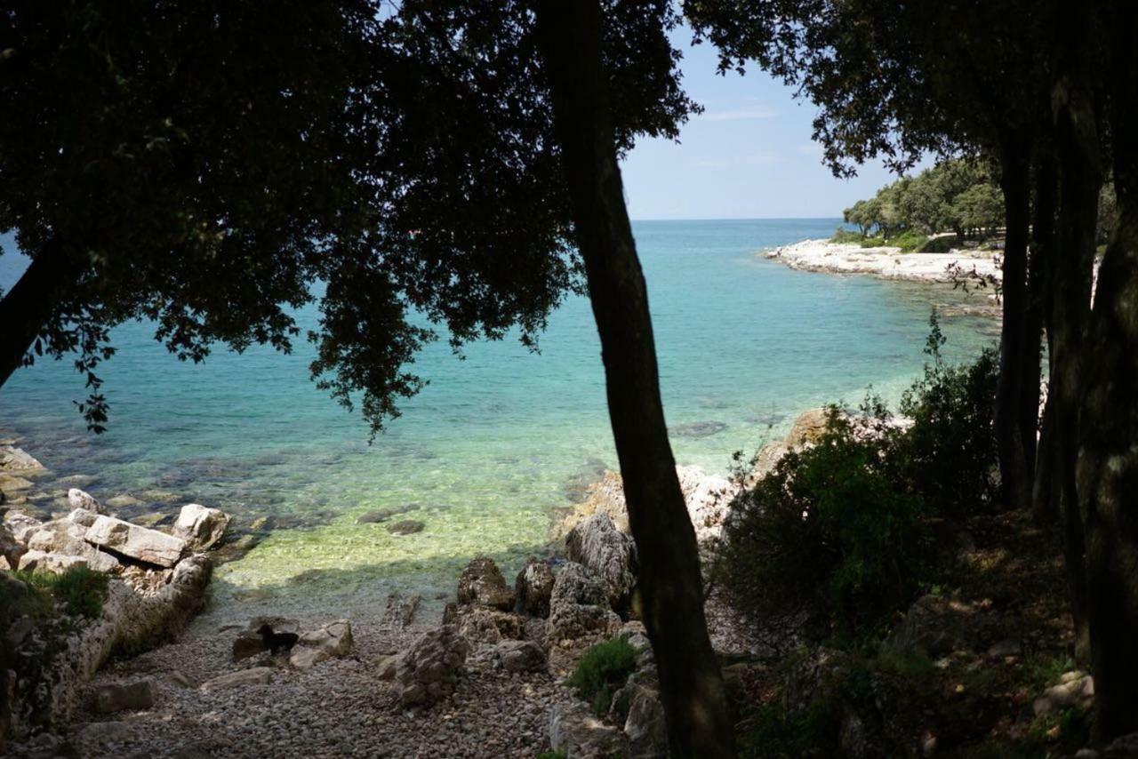 Guesthouse Galeb Vrsar Bagian luar foto